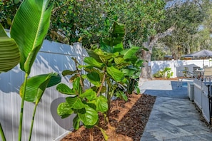 House (The Pelican Point) | Exterior