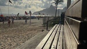 A beach with wooden benches, flags, and a palm tree.