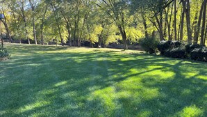 Un'area verde curata con alberi e una panchina.