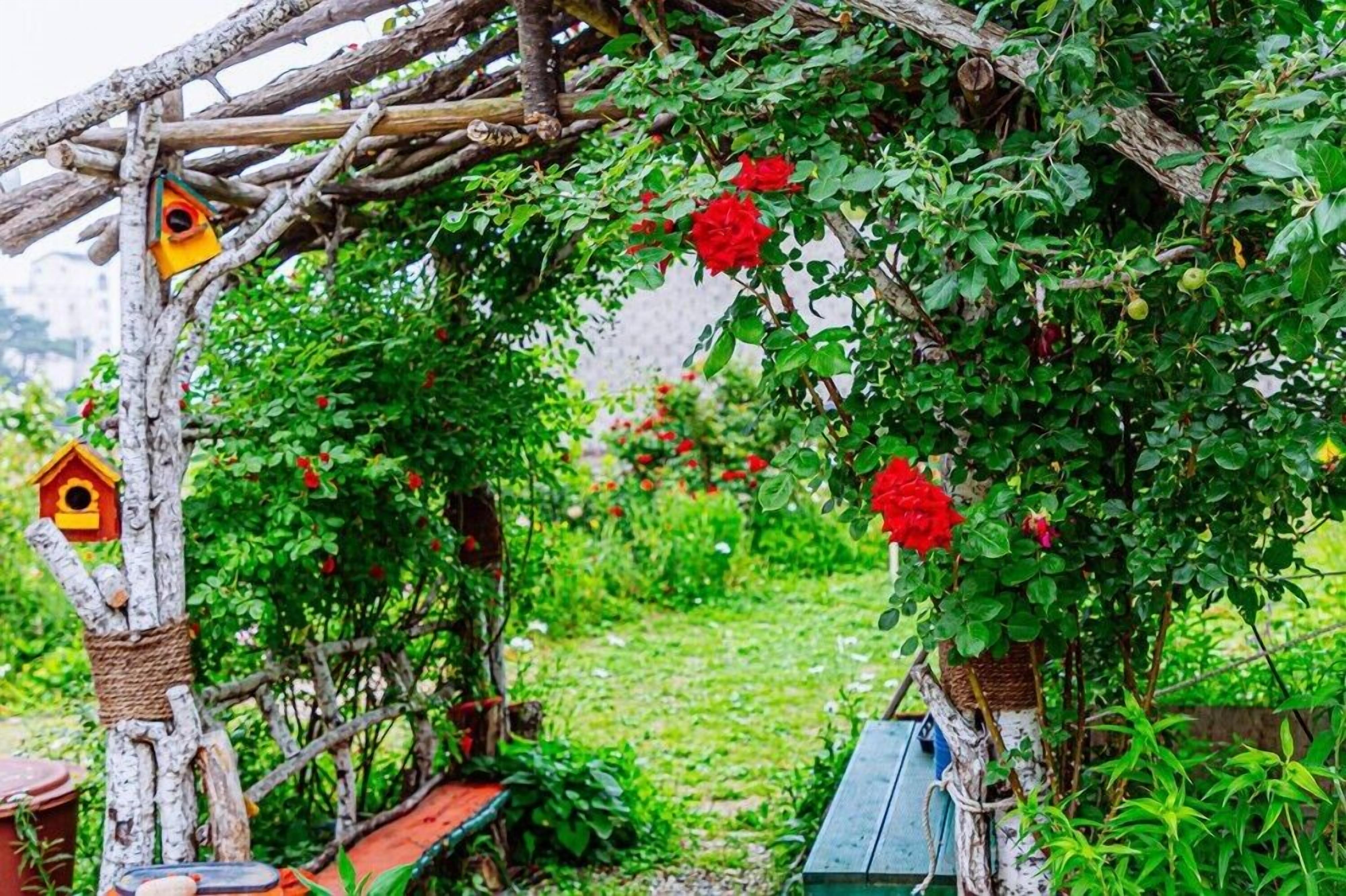 A rustic wooden arbor with a birdhouse and red flowers.