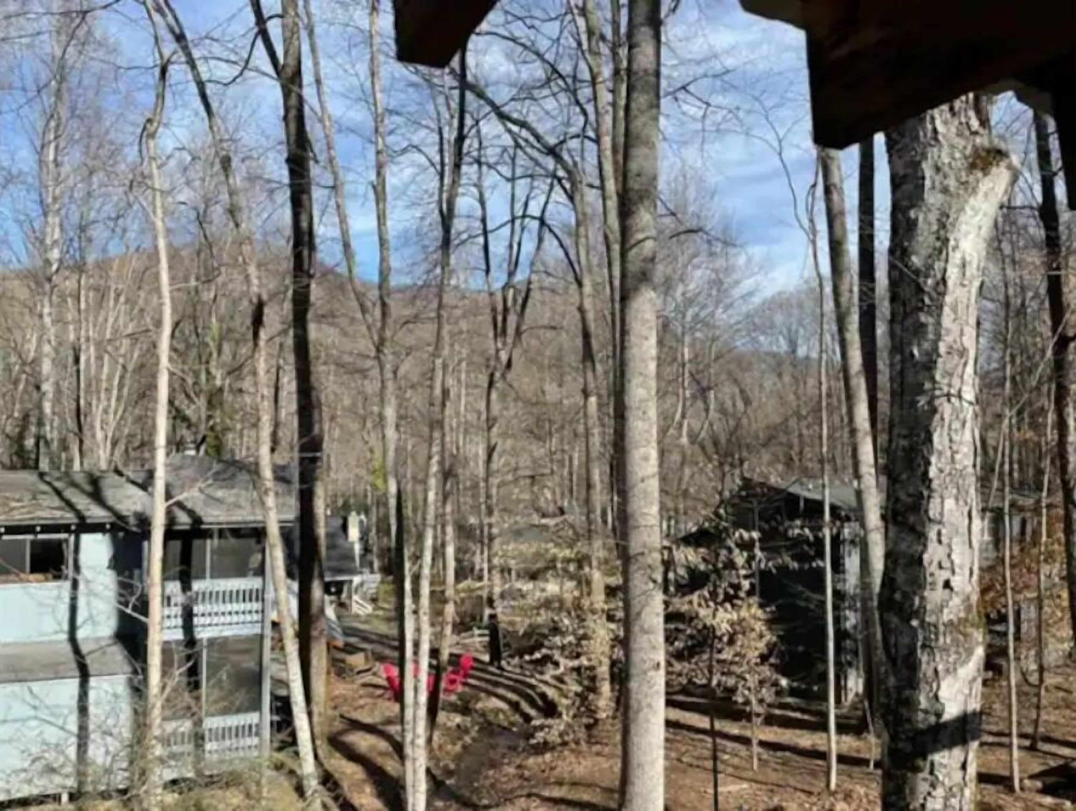 Una cabaña rodeada de árboles altos en un bosque.