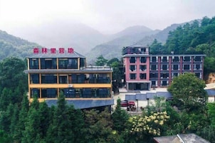 Un hotel de varios pisos con un diseño arquitectónico moderno, rodeado de vegetación exuberante y montañas al fondo.