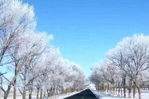 Miscellaneous - Ulan tuya hosts tribes in the helamuren steppe (Damao Banner)