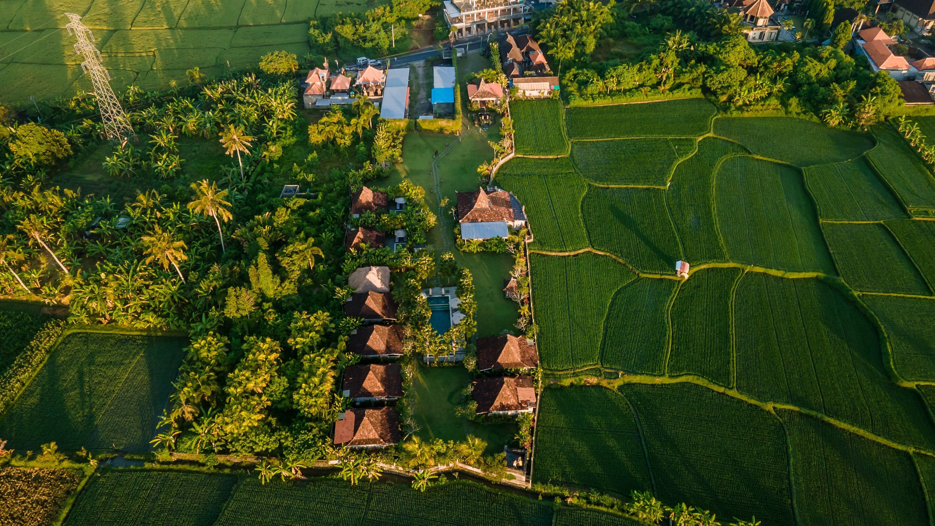 An aerial view of a rural area with terraced fields, traditional houses with thatched roofs, and a power line tower.
