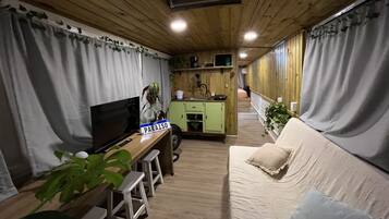 Flat-screen TV