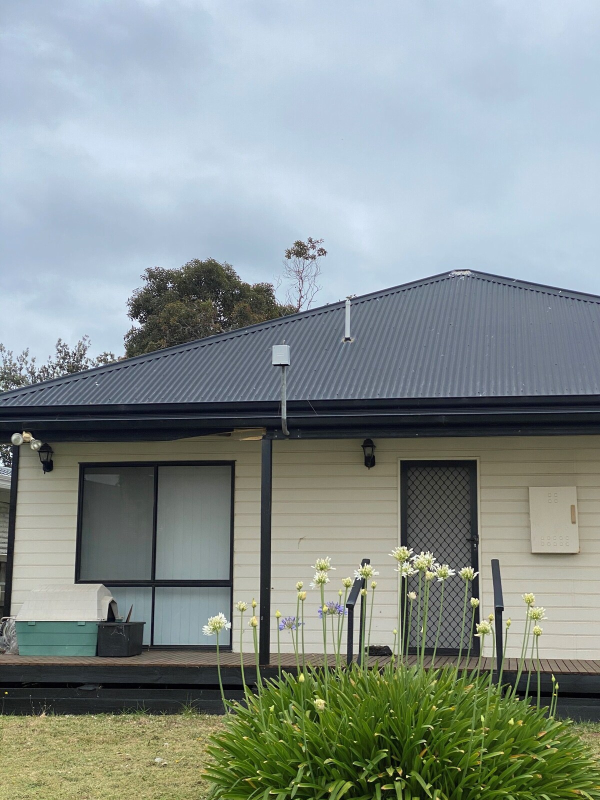 Imagen de perfil del propietario o de la propietaria