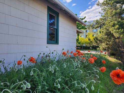 Off River Street Cottage is a cozy stay for travelers to beautiful Boise area. 