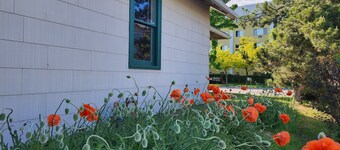 Off River Street Cottage is a cozy stay for travelers to beautiful Boise area. 