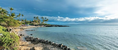 Condo, 1 quarto | Praia | Na praia