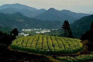 Miscellaneous - Lingshang Farmhouse (Wuyuan)
