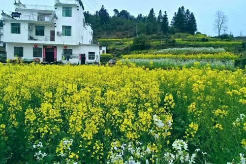Lingshang Farmhouse