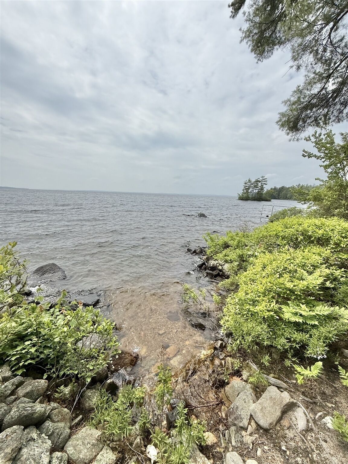 A rocky shoreline with clear water, surrounded by greenery and trees.