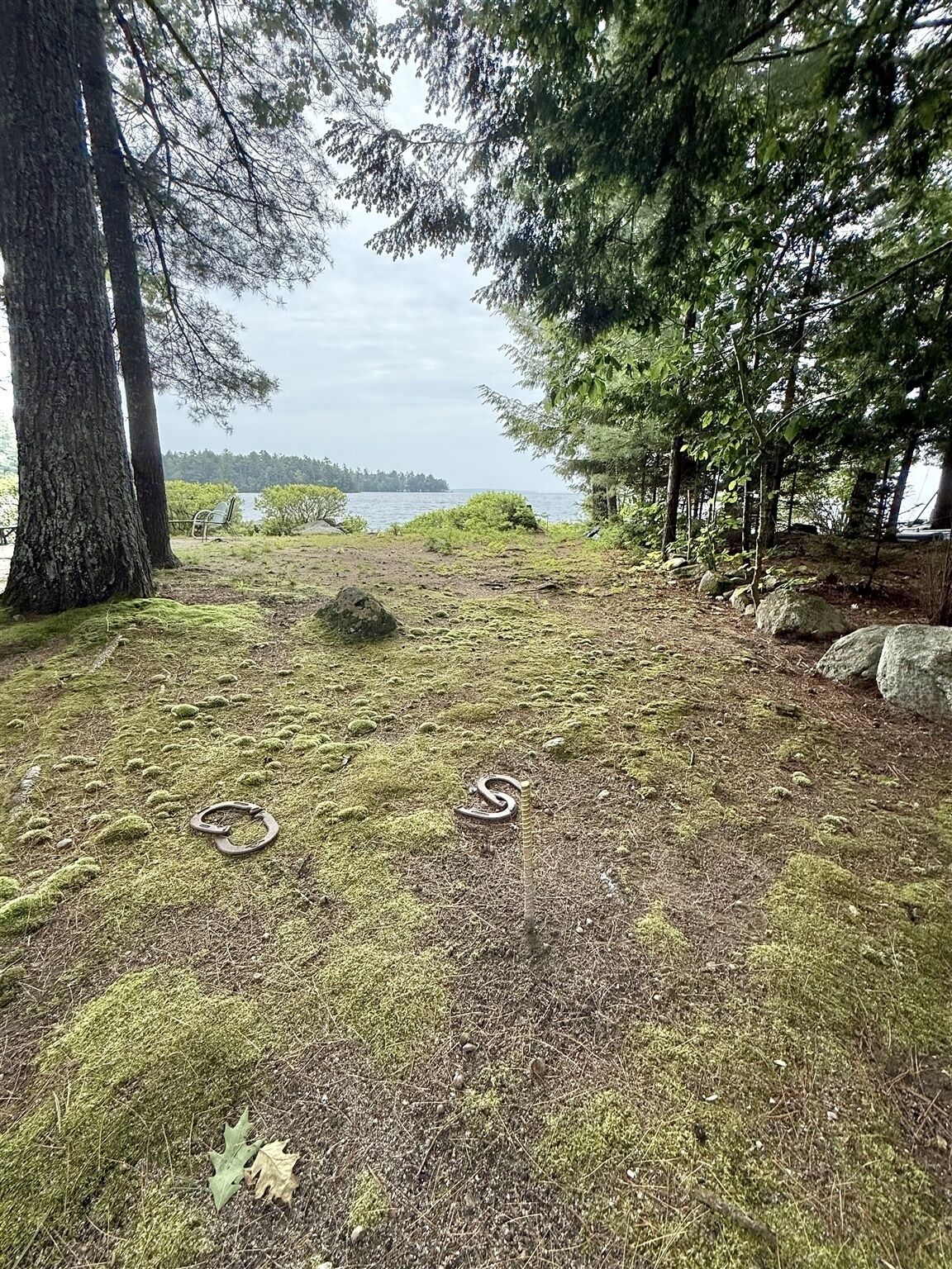 A forested area with a view of a lake and a distant island.