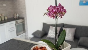 公寓 (One Bedroom Apartment with Terrace) | 內部細節