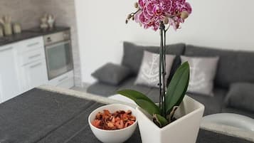 Apartment (One Bedroom Apartment with Terrace) | Interior detail