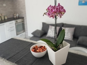 Apartment (One Bedroom Apartment with Terrace) | Interior detail - Apartments Katarina (Vis)