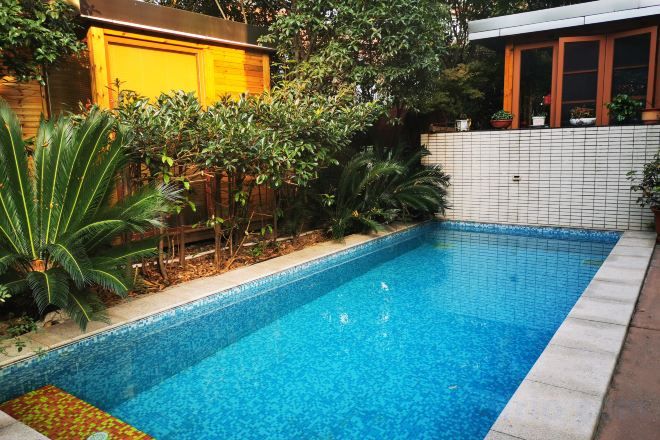 A swimming pool with a tiled edge, surrounded by plants and a white wall.