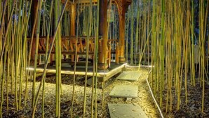 A bamboo forest with a wooden gazebo structure. - Shenmi Sidou Hostel (Nanjing)