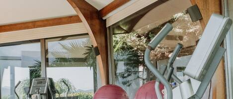 A gym with a treadmill, elliptical, and exercise balls.