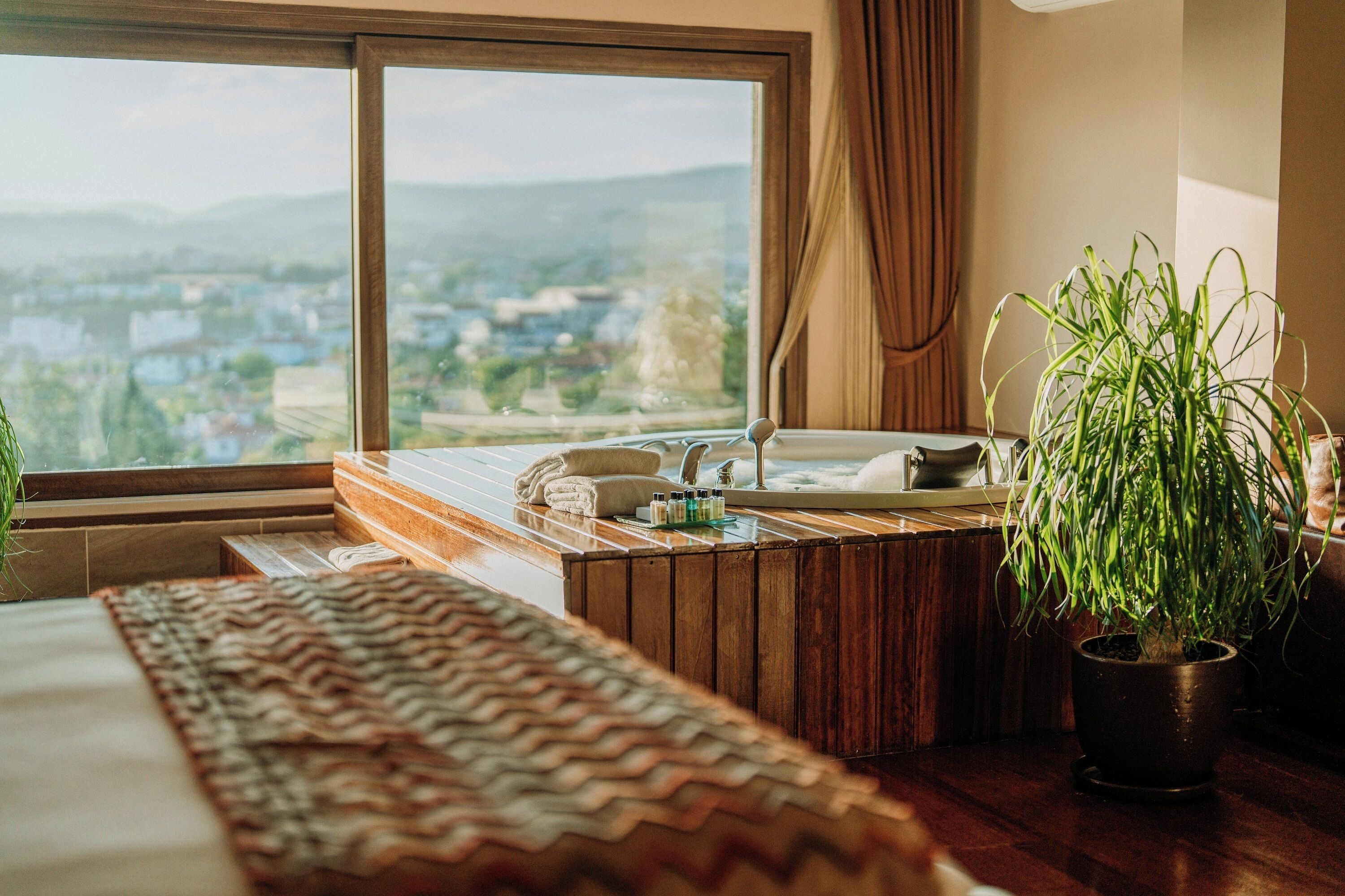 Presidential Room | City view