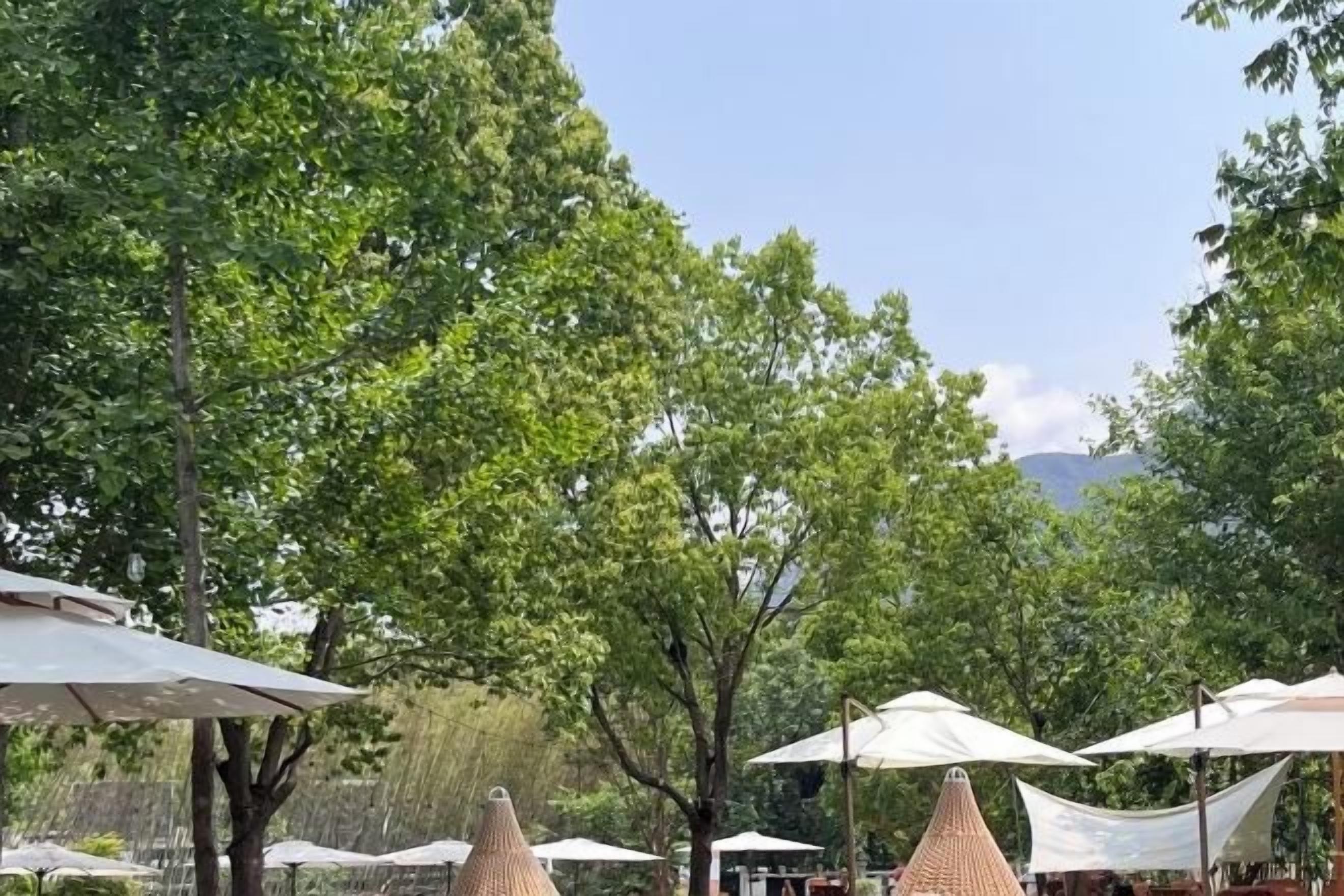 Een terras met parasols en bomen.