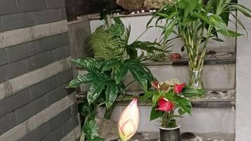 A corner with a variety of plants, including a prominent pink flower and a green leafy plant in a pot.