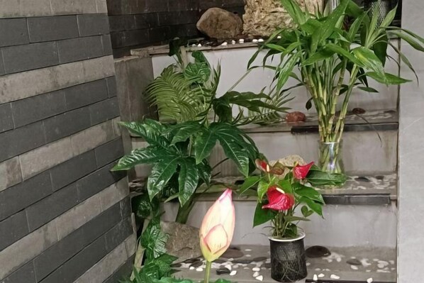 Un coin agrémenté de diverses plantes, dont une fleur rose bien visible et une plante verte à feuilles abondantes, placée dans un pot.