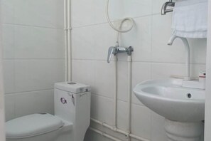 A small, clean bathroom with a toilet, a sink, and a shower.