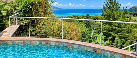 A swimming pool with a view of the ocean and tropical vegetation.