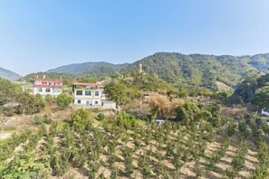 Nicht klassifiziertes Bild, 2 von 44, Schaltfläche