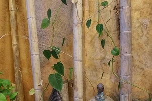 Estructura de bambú con plantas trepadoras.