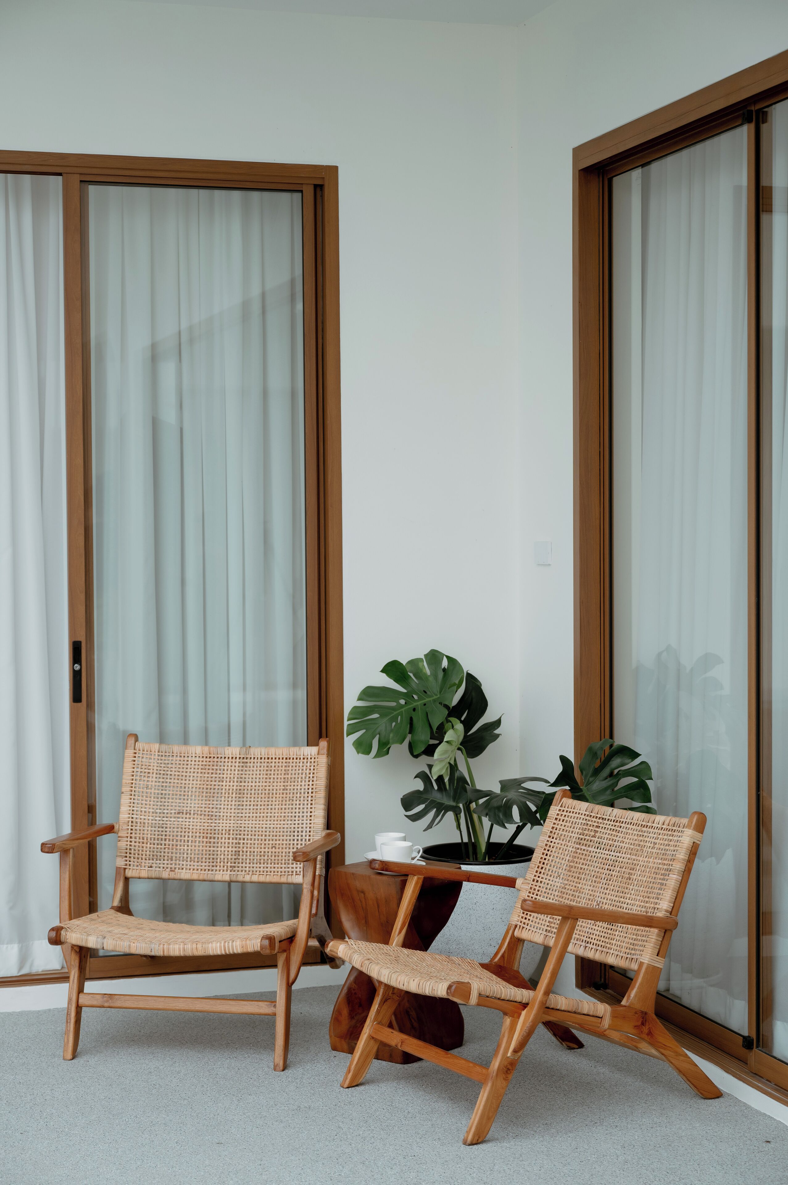 Dos sillas de mimbre con estructura de madera y una planta en maceta con hojas grandes.