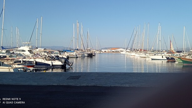 Un port de plaisance où sont amarrés de nombreux bateaux.
