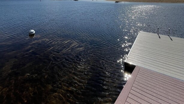 A wooden dock extending into calm water with a clear sky and distant trees.