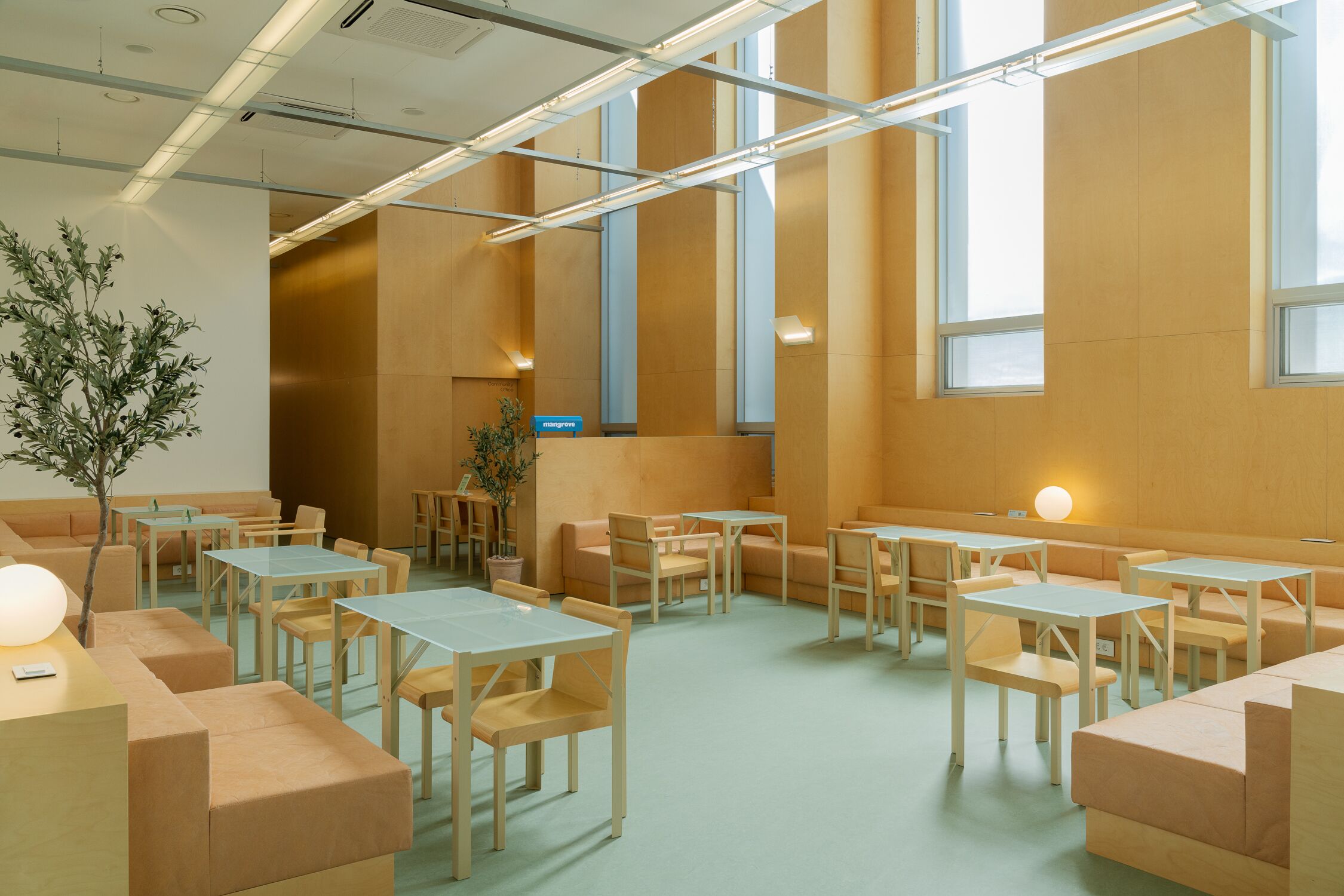 Foto - Mangrove Dongdaemun