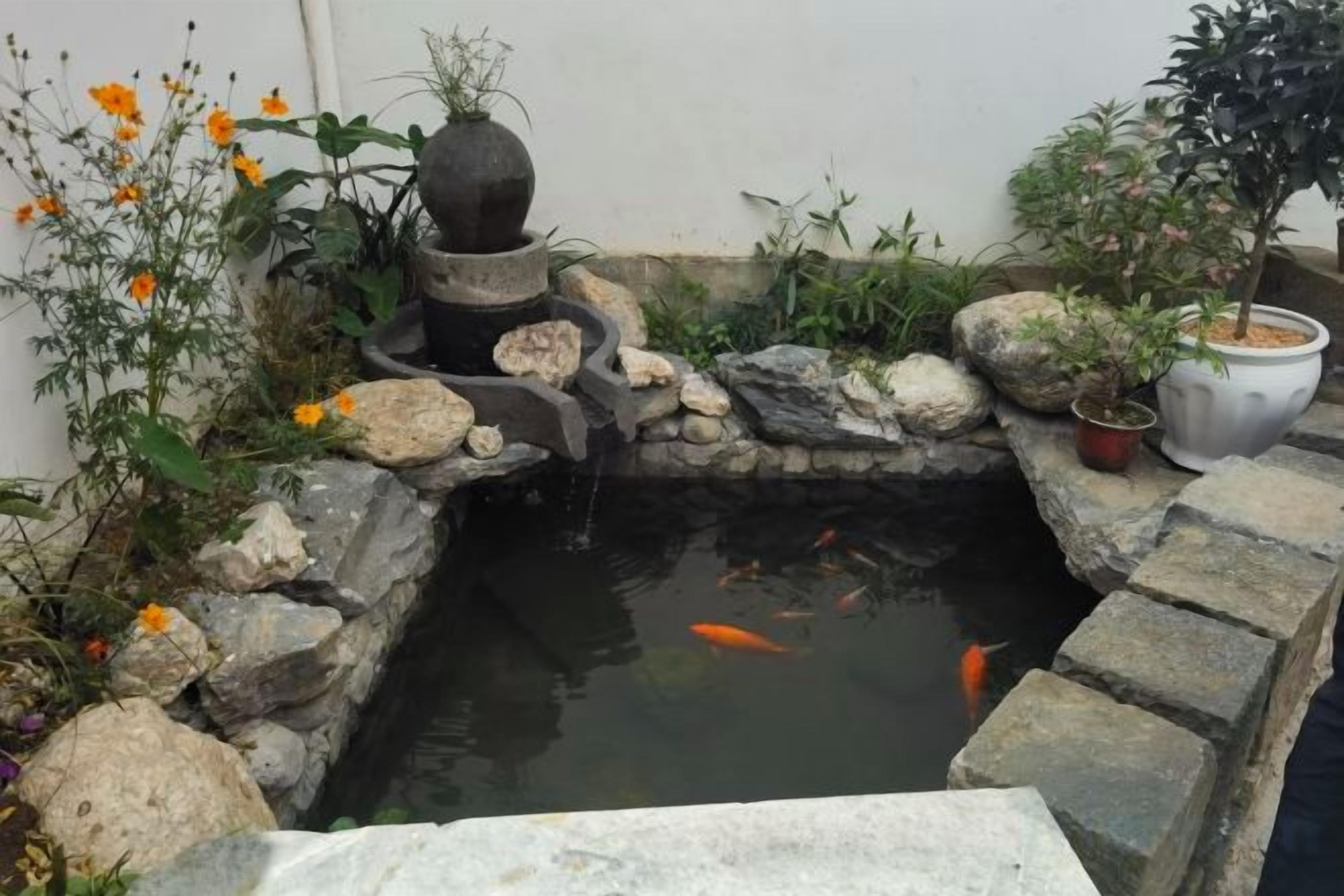 A koi pond with a stone bridge, surrounded by rocks and plants.