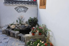 Vườn