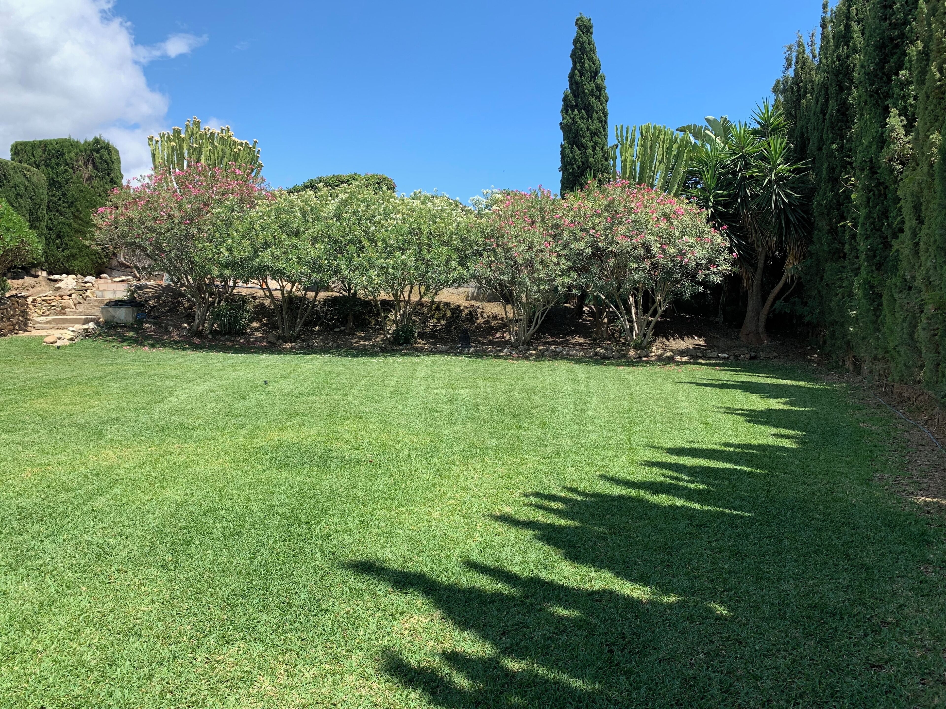 A well-maintained grassy lawn with a variety of trees and shrubs, including flowering plants.