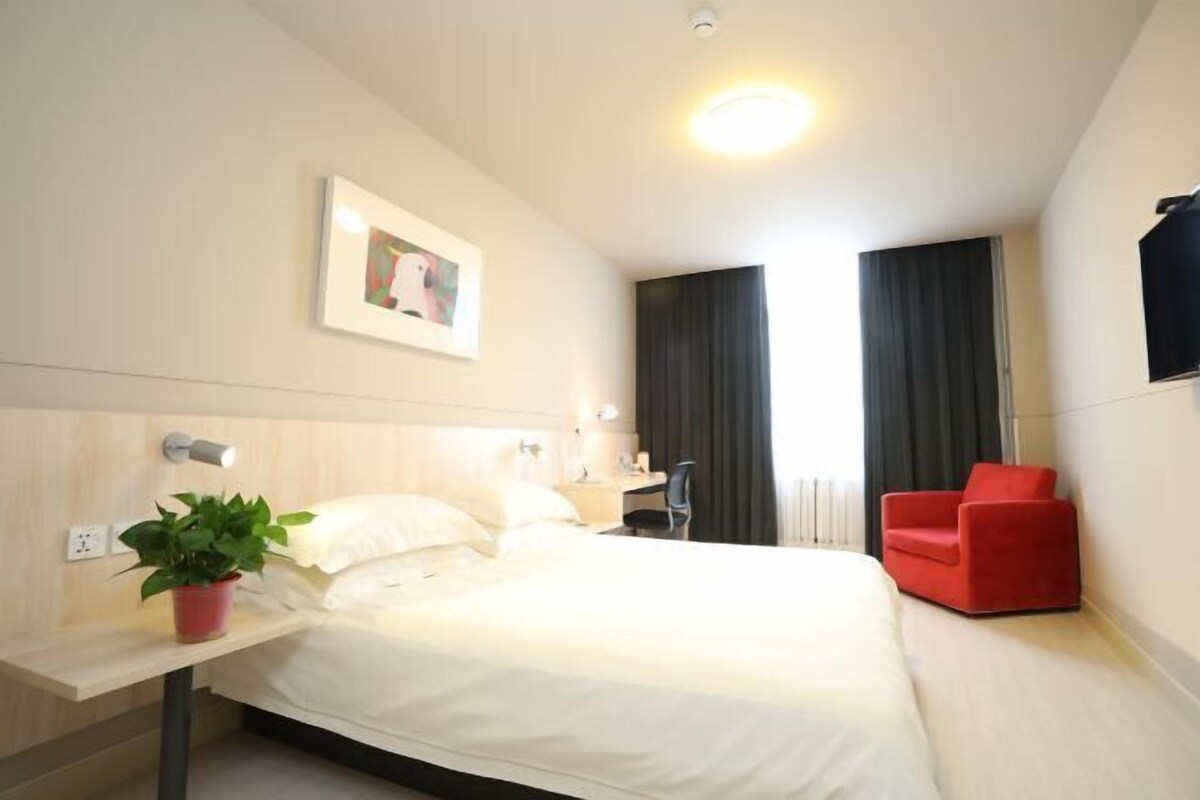 A hotel room with a bed, a desk, a chair, a potted plant, a TV, and a window with curtains.
