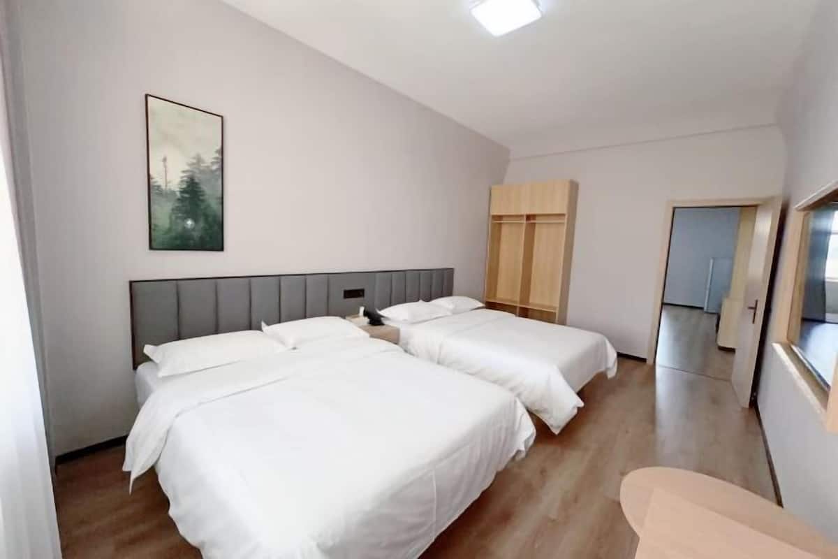 Habitació d'hotel amb dos llits, un armari, un quadre a la paret i una porta que dona a una altra habitació.