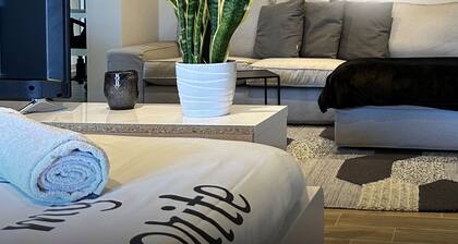 THE LOFT near COMO lake, private parking, BBQ area I Villa dei Leoni