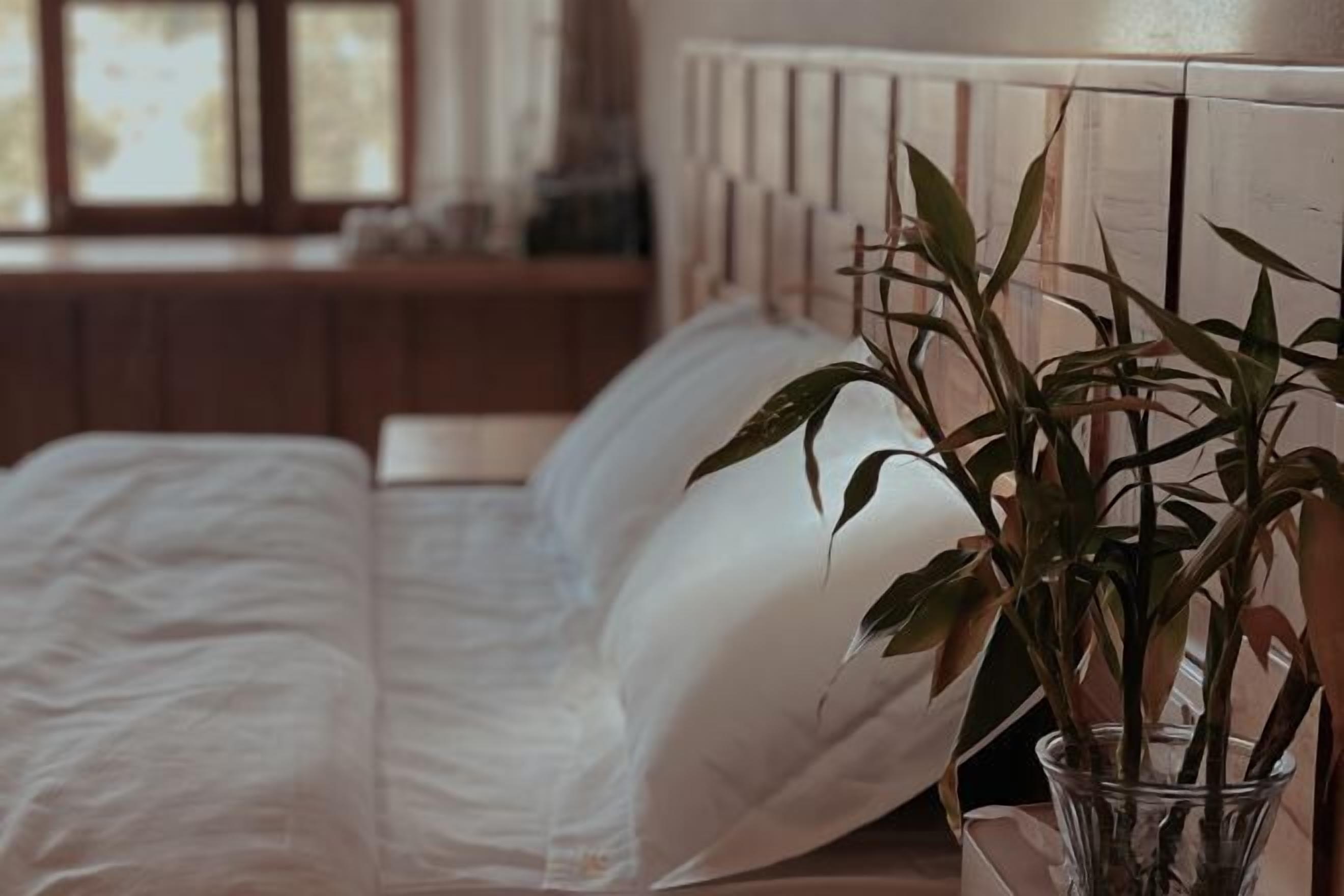 A bed with white linens, a bedside plant in a clear glass vase, and a wooden headboard.