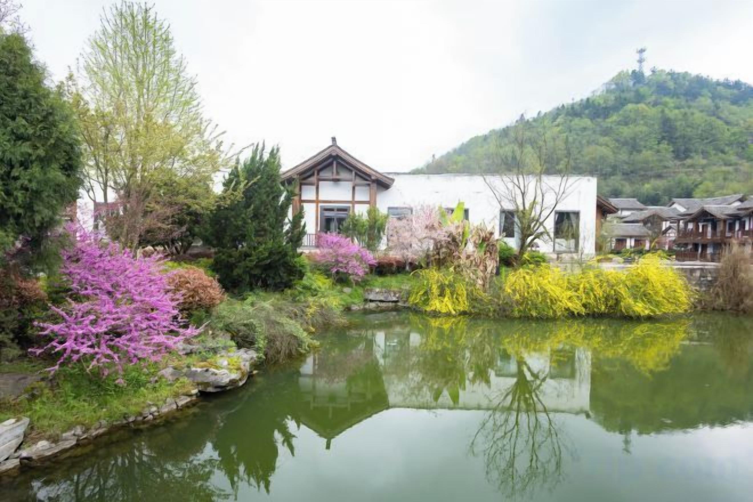 A traditional building with a reflection in a pond, surrounded by lush greenery and flowering plants.