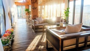 Un salón con suelo de madera, un sofá y una mesa, ventanas amplias y vistas al exterior.