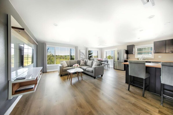 Télévision, cheminée, lecteur de DVD, livres