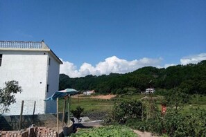 Miscellaneous - Langshan Patriotic Farm (Xinning)