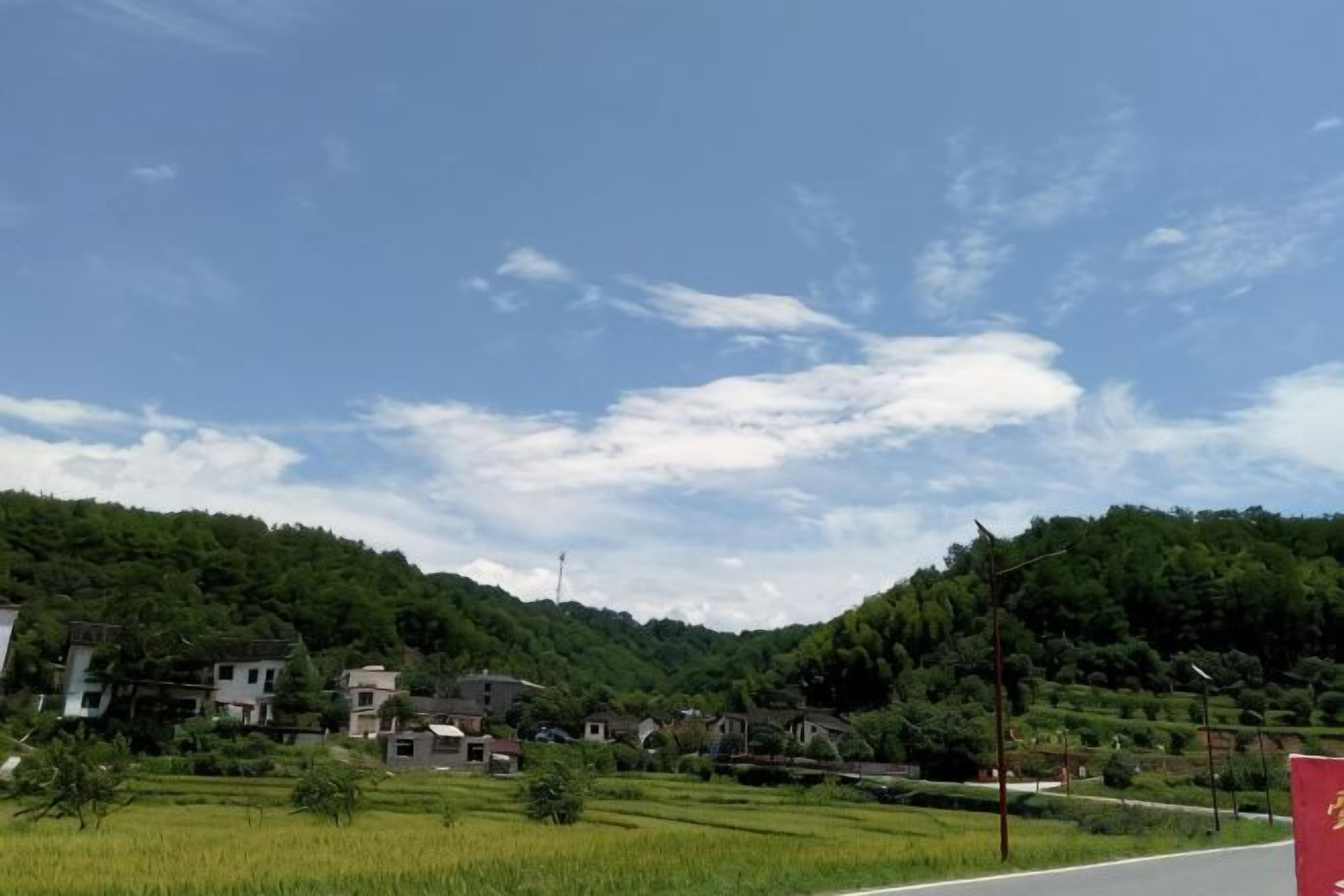 Un paysage rural avec une route, des maisons et une colline parsemée d’arbres.
