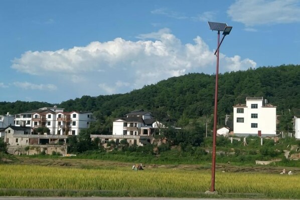 A rural setting with traditional buildings, a solar-powered street lamp, and a rice field. - Langshan Patriotic Farm (Xinning)