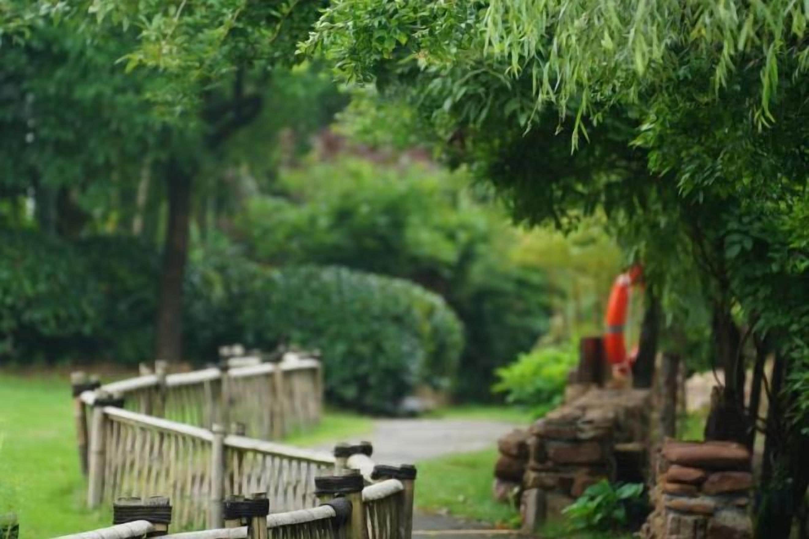 A pathway with a wooden fence, stone wall, and lush greenery.