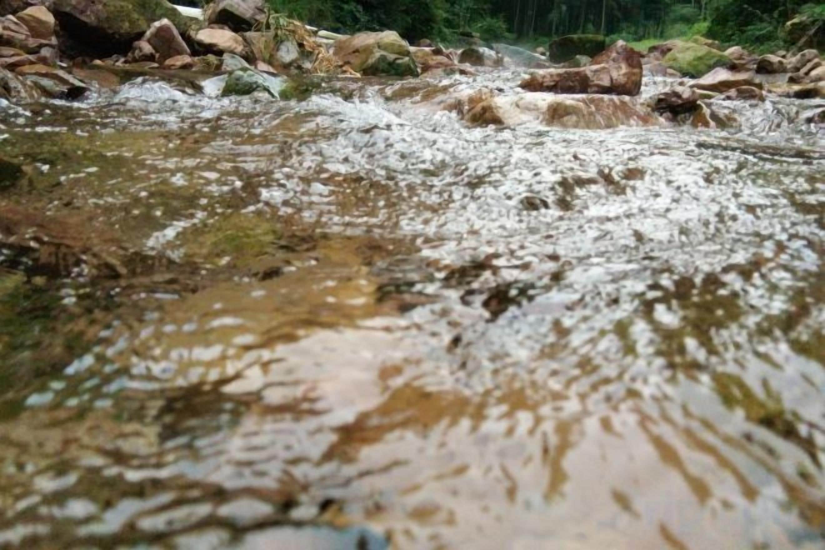 A river with clear water flowing over rocks.